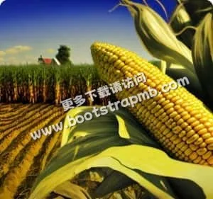 康泰体育，点燃你的激情 - mk官网kangtai