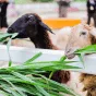 搜索 - mk官网kangtai